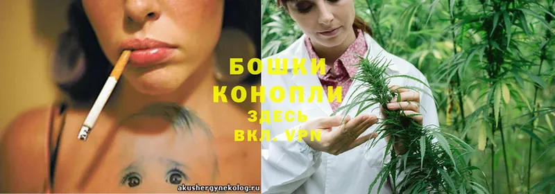 где купить   Заинск  Канабис Ganja 